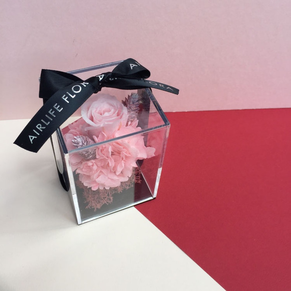 「リトルピーチブロッサム」ピンクの永遠の花透明テクスチャ花式 1枚目の画像