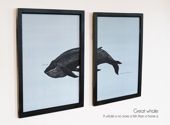 アートポスター・クジラ【A4／２枚セット】 1枚目の画像