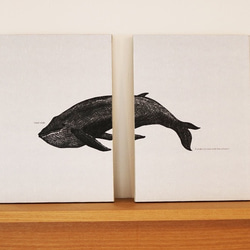 【受注生産】アートパネル・クジラ／A4・2個セット 2枚目の画像