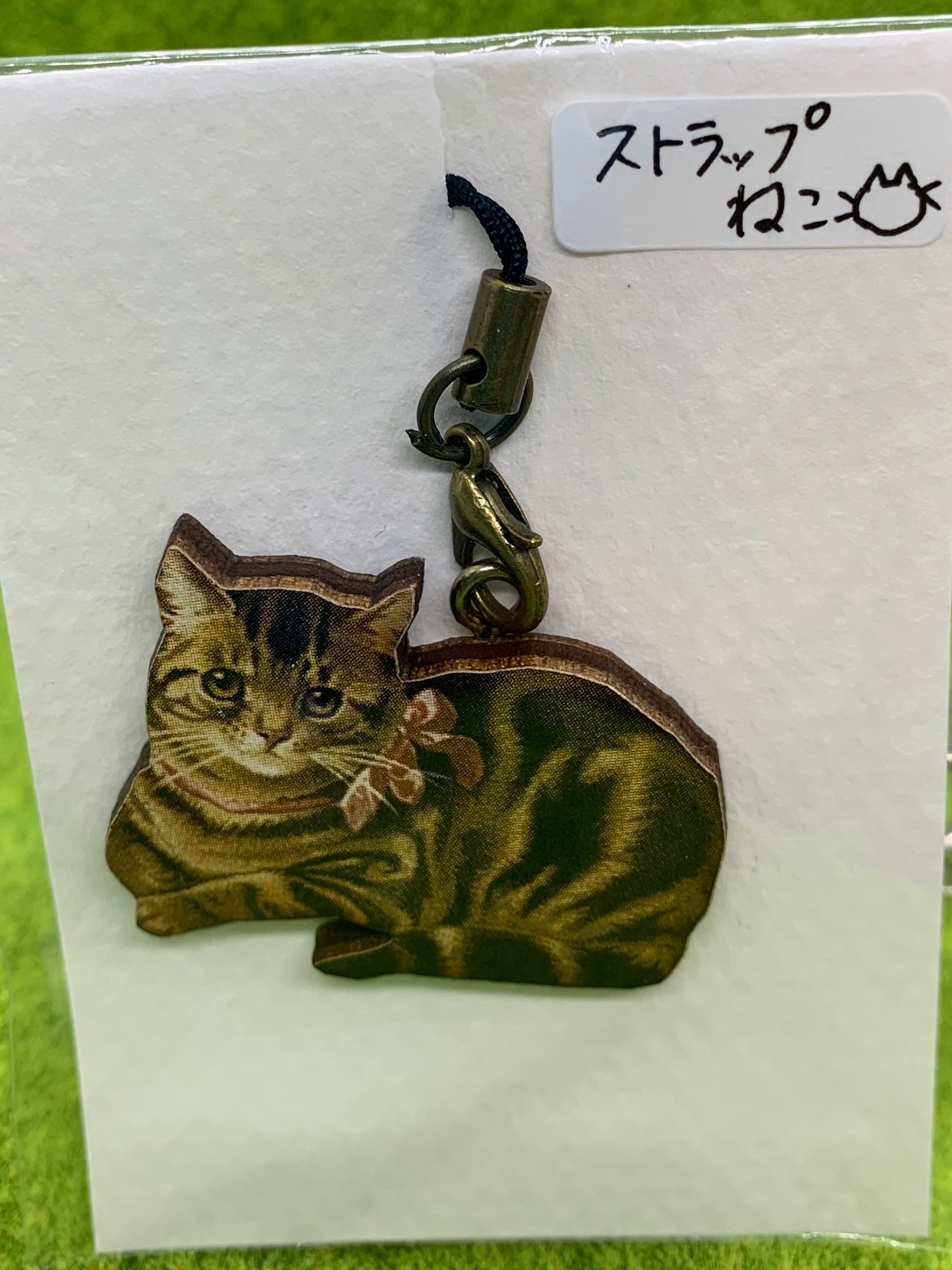 猫ジャーナルのサイトマップ | 猫ジャーナル ショートケーキとおすわり