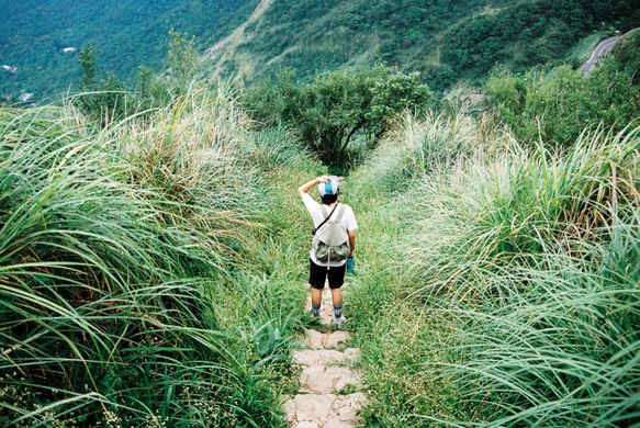 旅途後背包 / 灰綠麂皮 / 苔蘚 / 第3張的照片