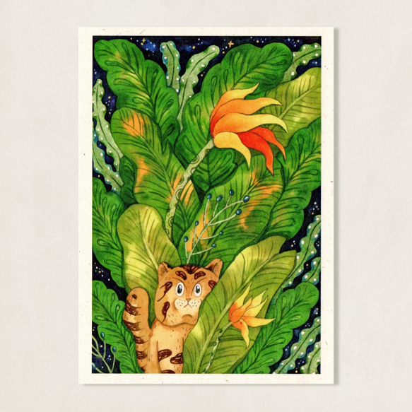 ピカンボーイズポストカード/ピンドンジャングル 1枚目の画像