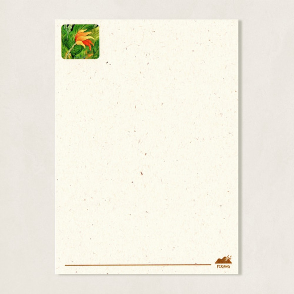 ピカンボーイズポストカード/ピンドンジャングル 2枚目の画像