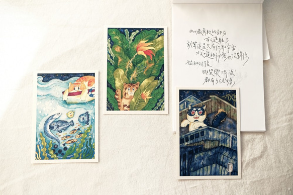 ピカンボーイズポストカード/ピンドンジャングル 6枚目の画像