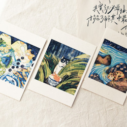 ピカンメンズポストカード/ビアンドンリーフ 4枚目の画像