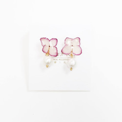 （訂製）全立體真花製作 棉棉珠 24K金  耳環 樹脂耳夾 第1張的照片