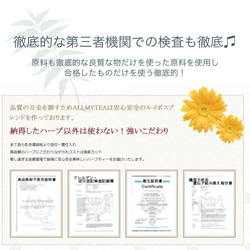 【Lサイズ】甘いカカオの殻粒を使ったユニークなブレンド◼️カカオ×最高級ルイボス茶葉×ミント「チョコミントモリンガ」 4枚目の画像