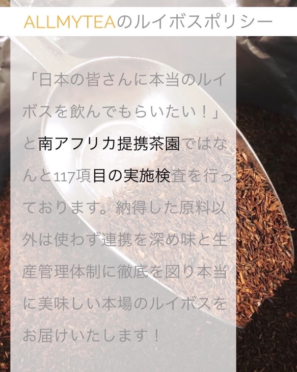 【ティーパック20包】カカオの殻粒使用ユニークなブレンド◼️カカオ×最高級ルイボス茶葉×ミント「チョコミントモリンガ」 3枚目の画像