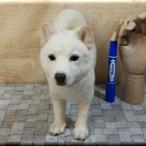 羊毛フェルト 犬 北海道犬 犬フィギュア 羊毛フェルト モンブラン 通販