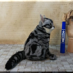 羊毛フェルト　猫　アメリカンショートヘア　アメショ　猫フィギュア　アメショー 4枚目の画像