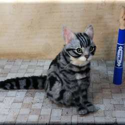 羊毛フェルト　猫　アメリカンショートヘア　アメショ　猫フィギュア　アメショー 6枚目の画像