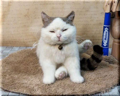 0_e3ea20a9fc78d80e0a7c1eea943f