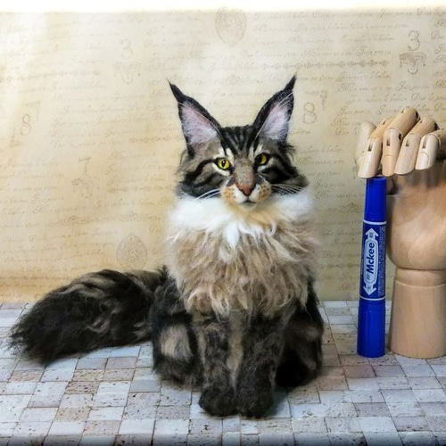 羊毛フェルト 猫 メインクーン ねこ ネコ 猫フィギュア 羊毛フェルト