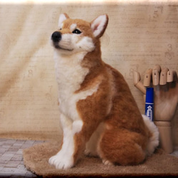 羊毛フェルト　犬　柴犬　しばいぬ　犬フィギュア 8枚目の画像