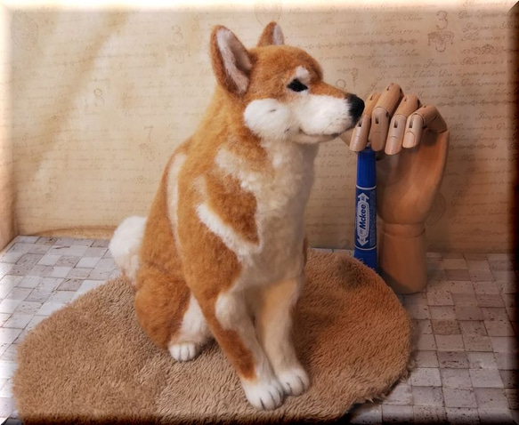 羊毛フェルト　犬　柴犬　しばいぬ　犬フィギュア 9枚目の画像