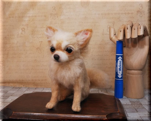 羊毛フェルト 犬 チワワ 羊毛フェルト モンブラン 通販 11237510