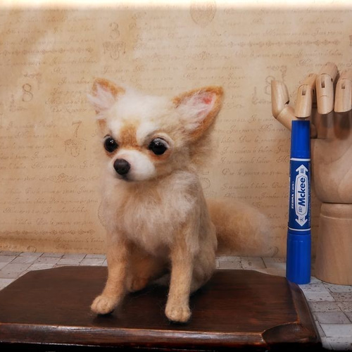 羊毛フェルト 犬 チワワ 羊毛フェルト モンブラン 通販 11237510