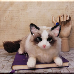 羊毛フェルト　猫　ラグドール　猫フィギュア　ねこ　ネコ 1枚目の画像