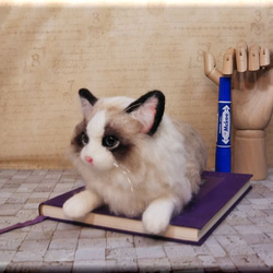 羊毛フェルト　猫　ラグドール　猫フィギュア　ねこ　ネコ 3枚目の画像