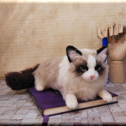 羊毛フェルト　猫　ラグドール　猫フィギュア　ねこ　ネコ 4枚目の画像