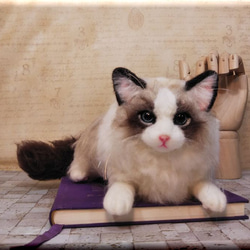 羊毛フェルト　猫　ラグドール　猫フィギュア　ねこ　ネコ 5枚目の画像