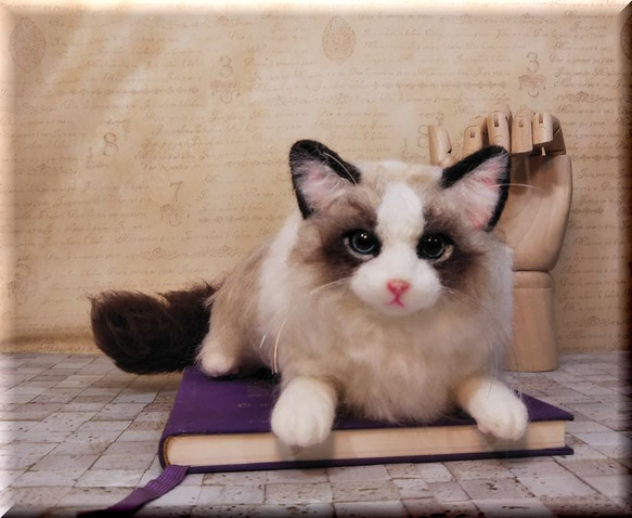 羊毛フェルト　猫　ラグドール　猫フィギュア　ねこ　ネコ 5枚目の画像
