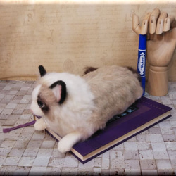 羊毛フェルト　猫　ラグドール　猫フィギュア　ねこ　ネコ 7枚目の画像