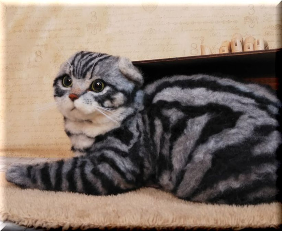 羊毛フェルト　猫　箱入りスコティッシュフォールド　猫フィギュア 2枚目の画像
