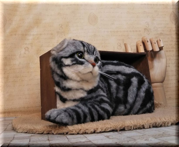 羊毛フェルト　猫　箱入りスコティッシュフォールド　猫フィギュア 3枚目の画像