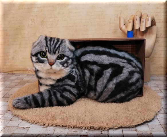 羊毛フェルト　猫　箱入りスコティッシュフォールド　猫フィギュア 4枚目の画像