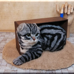 羊毛フェルト　猫　箱入りスコティッシュフォールド　猫フィギュア 5枚目の画像