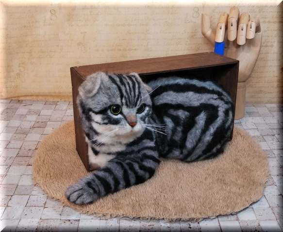 羊毛フェルト　猫　箱入りスコティッシュフォールド　猫フィギュア 5枚目の画像