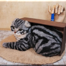 羊毛フェルト　猫　箱入りスコティッシュフォールド　猫フィギュア 8枚目の画像