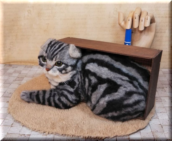 羊毛フェルト　猫　箱入りスコティッシュフォールド　猫フィギュア 8枚目の画像