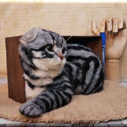 羊毛フェルト　猫　箱入りスコティッシュフォールド　猫フィギュア 9枚目の画像