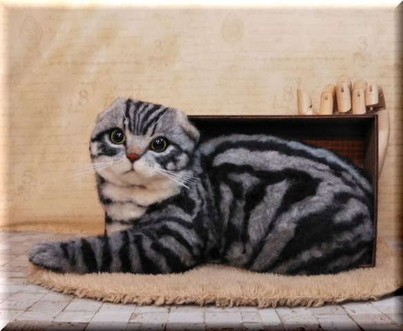 羊毛フェルト　猫　箱入りスコティッシュフォールド　猫フィギュア 10枚目の画像