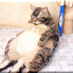 羊毛フェルト　猫　デブ猫さん　キジトラ　ねこ　ネコ　猫フィギュア 6枚目の画像