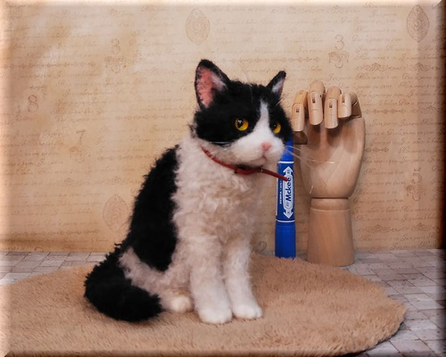 0_a2312fe427211f3a47a3ad9f9bc8