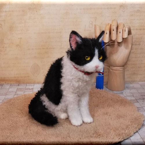 羊毛フェルト 猫 セルカークレックス ハチワレ猫 ねこ ネコ 猫