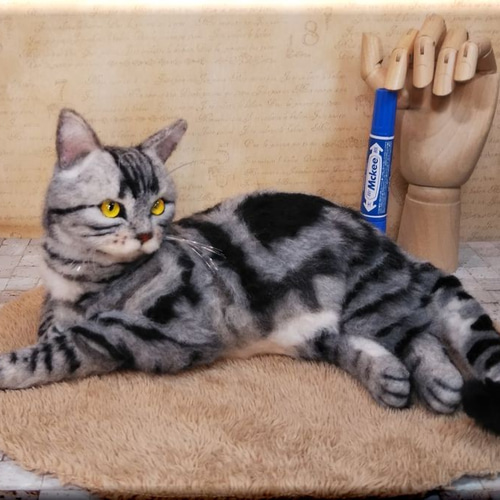 羊毛フェルト 猫 アメリカンショートヘア ねこ ネコ アメショ 猫