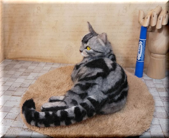 羊毛フェルト　猫　アメリカンショートヘア　アメショ　猫フィギュア　アメショー 9枚目の画像