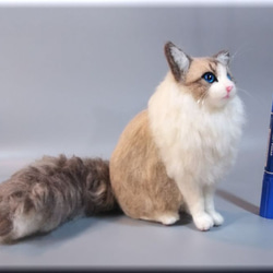 羊毛フェルト　猫　ラグドール　猫フィギュア　ねこ　ネコ 10枚目の画像