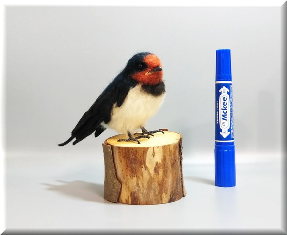 ほぼライフサイズ ツバメ 燕 野鳥 羊毛フェルト 工房小鳥屋さん