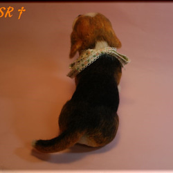 羊毛フェルト　犬　ビーグル　子犬 4枚目の画像