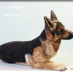 羊毛フェルト　犬　シェパード 6枚目の画像