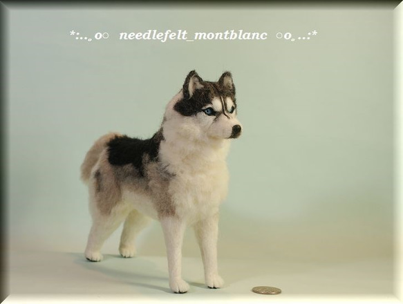 羊毛フェルト オーダー 「リアルで可愛いワンちゃん」シベリアン