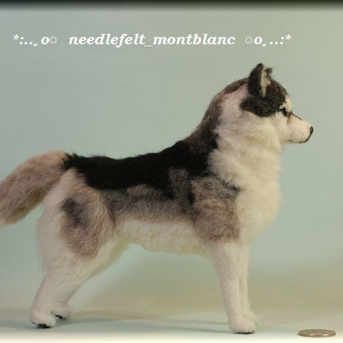 羊毛フェルト 犬 シベリアン・ハスキー 羊毛フェルト モンブラン 通販