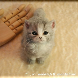 羊毛フェルト 猫 羊毛フェルト 猫 ふさふさな子猫 ねこ ネコ 羊毛フェルト モンブラン