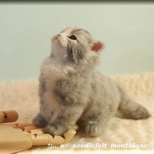 羊毛フェルト 猫 ふさふさな子猫 ねこ ネコ 羊毛フェルト モンブラン