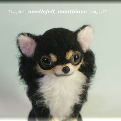 羊毛フェルト　犬　チワワ　フレーム(大) 羊毛フェルト 犬 チワワ フレーム(大) 3D犬 チワワ オーダー